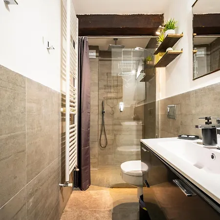 Lejlighed 500m Ponte Vecchio - Brancacci House New 1br Firenze